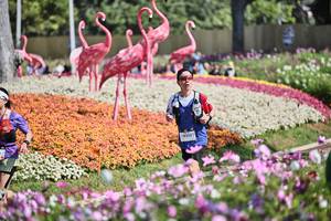 BIB: 
                            <button type="button" onclick="openModal(27793316)" class="btn btn-primary btn-sm float-right btn-popup" data-toggle="modal" data-target=".modal-high-quality">
                        <i class="fas fa-shopping-cart"></i> Add to Cart
                    </button>
                                            <button type="button" onclick="isThisMe(27793316, true)" class="btn btn-success btn-sm float-right btn-popup btn-isme hidden" data-toggle="tooltip" data-placement="bottom" title="นี่คือรูปของคุณใช่ไหม คลิกที่นี่เพื่อเอาเข้าอัลบั้ม">
                        <i class="fas fa-plus"></i> Add to album
                    </button>
                    <button type="button" onclick="isThisMe(27793316, false)" class="btn btn-warning btn-sm float-right btn-popup btn-isnotme hidden">
                        <i class="fas fa-ban"></i> Remove from album
                    </button>